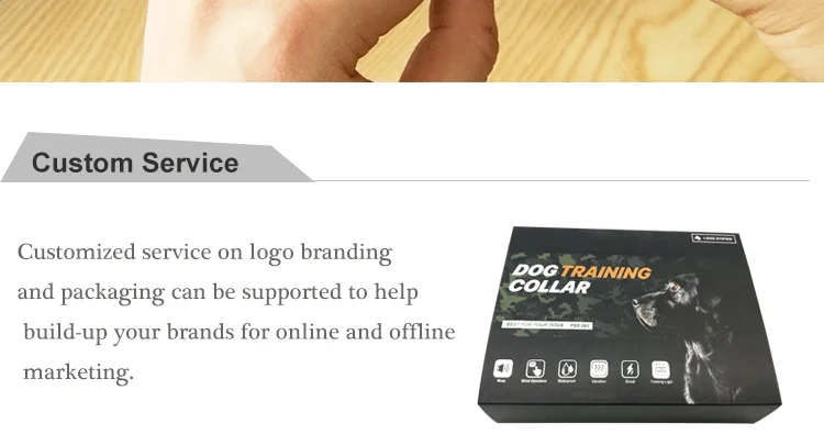 Electric Dog Collar (7).png