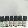 Natural and Pure Pine Leaves Extract Oil Pine Needle Oil Tons