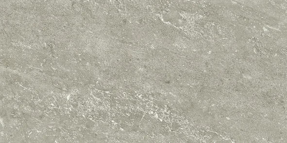 Bathroom tiles walls and floors tile- Advanced grey4.0