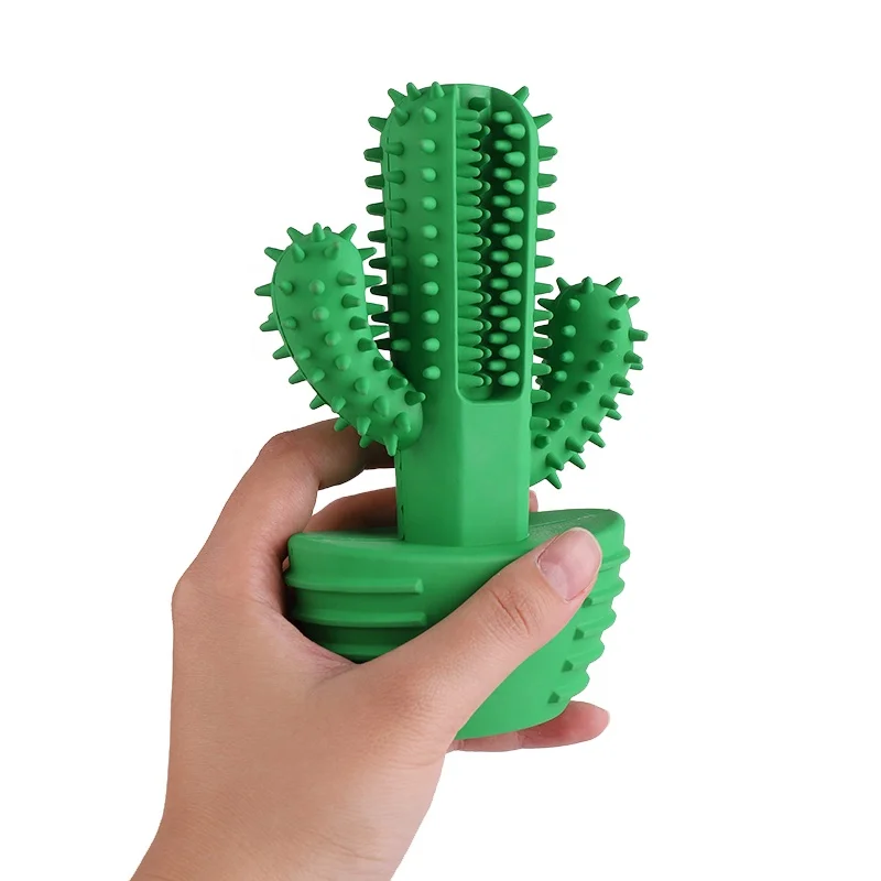 Amazon Hot-selling Factory Wholesale Cactus Unique Clean Teeth Chewing ...