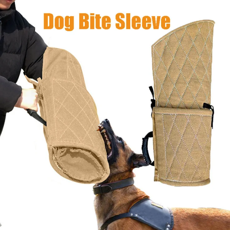 dog training equipment