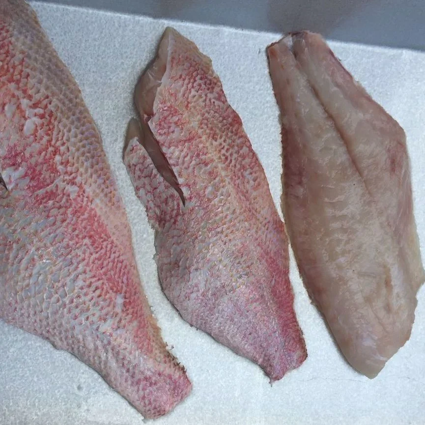 Frozen-red-snapper.jpg