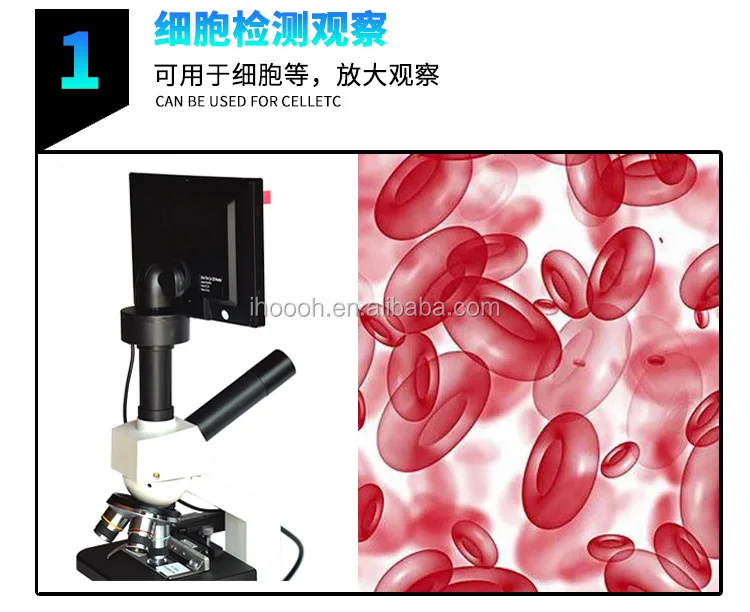 biological microscope (6).jpg