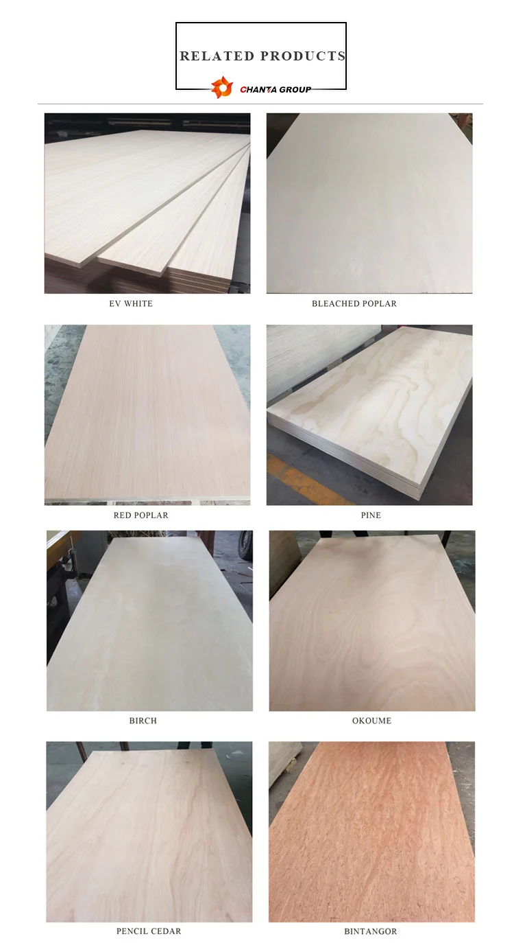 chanta brand  1200X2400X17mm  structural or non structural pine plywood for construction