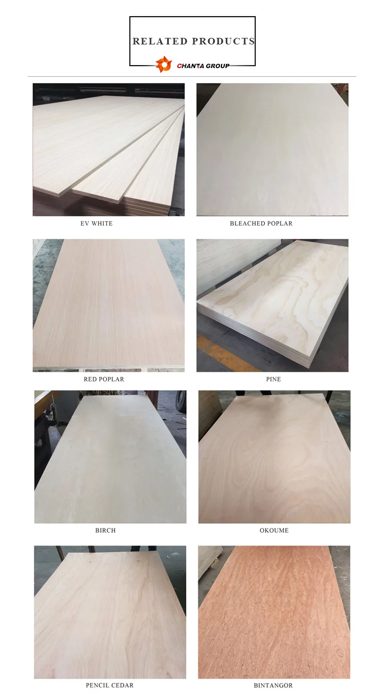 Cheap Price 12mm 15mm 18mm Pinus Sylvestris Radiata Pine Veneer CDX Plywood for Packaging