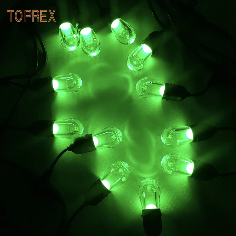 RGB Color Changing E27 Sockets Outdoor String Lights LED Commercial Grade Festoon  Lighting With 8 Lights Effects