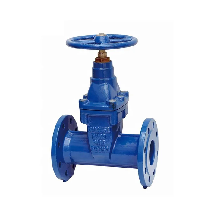 DIN 3352 F5 /EN 1171 Flanged Resilient Gate Valve With Non Rising Stem