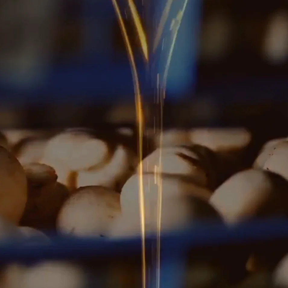 
canned cooking oil for vegetable with mushroom inside good flavour taste for vegetarian 