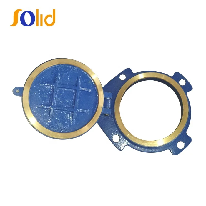 Customized Ductile Cast Iron Flap Valve with Bronze Sealing