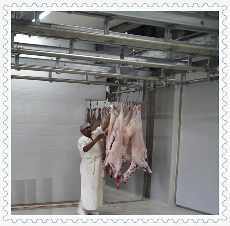 Industrial walk-in modular meat cold room at commercial lamb Slaguhterhouse