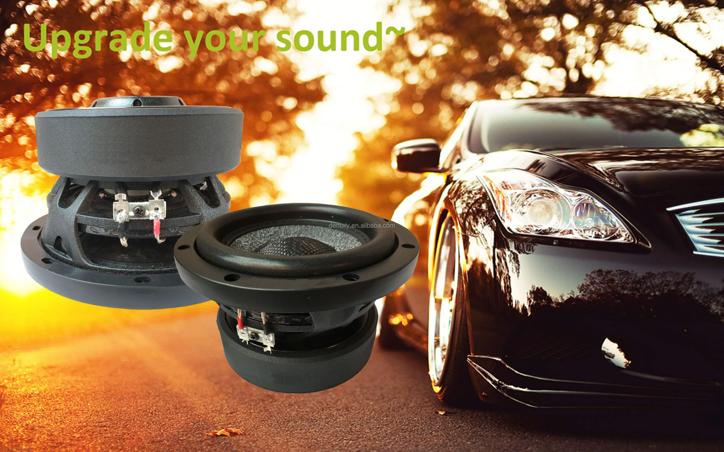 China Supplier Bass Subwoofer Auto Loud Bass Speaker Spl Audio Sub