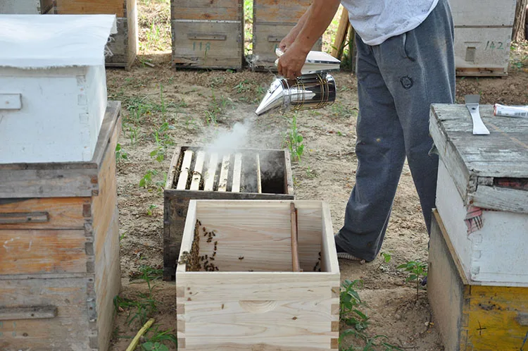 bee smoker S-1(M).jpg