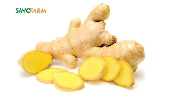 high quality air dried ginger