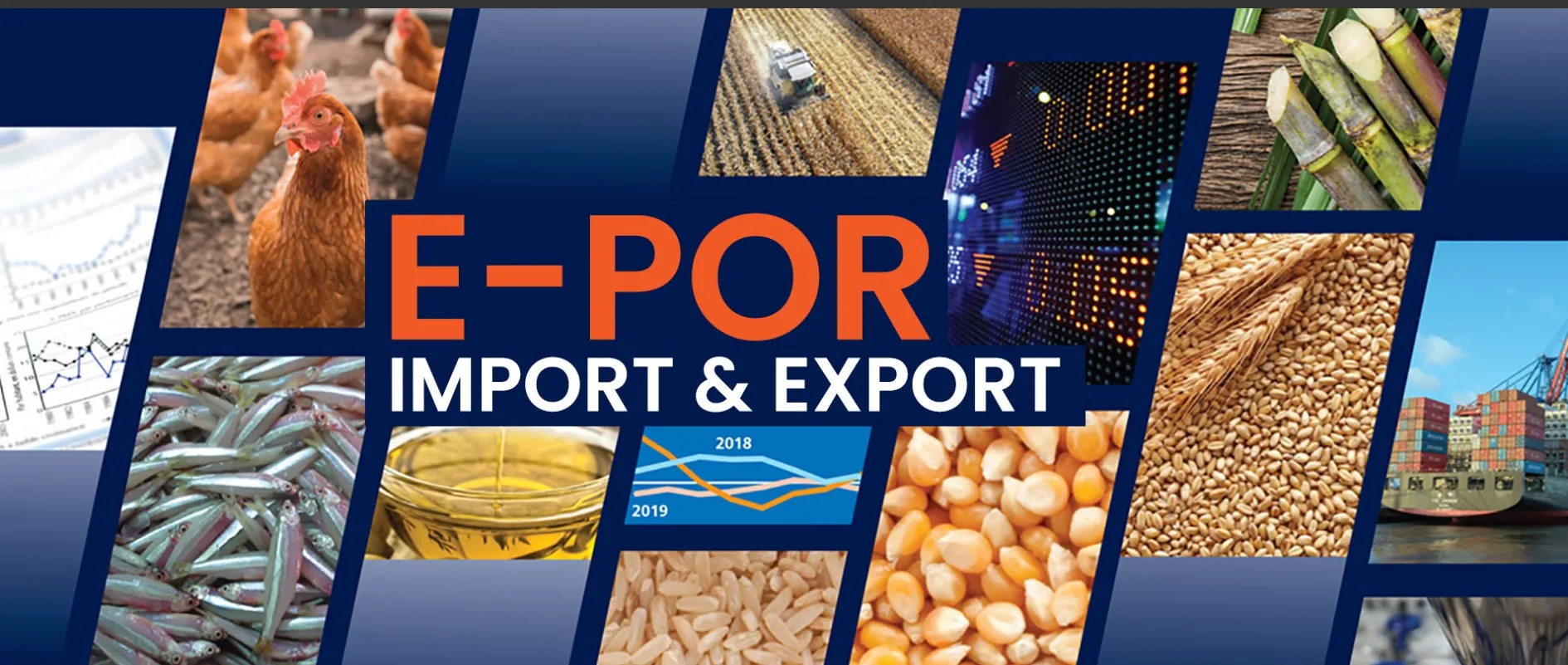 Wholesale Supplier Copper Concentrate With Cheap Price / Copper Ore