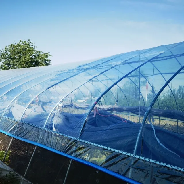 greenhouse PO film
