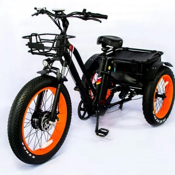 fat tire cargo bike
