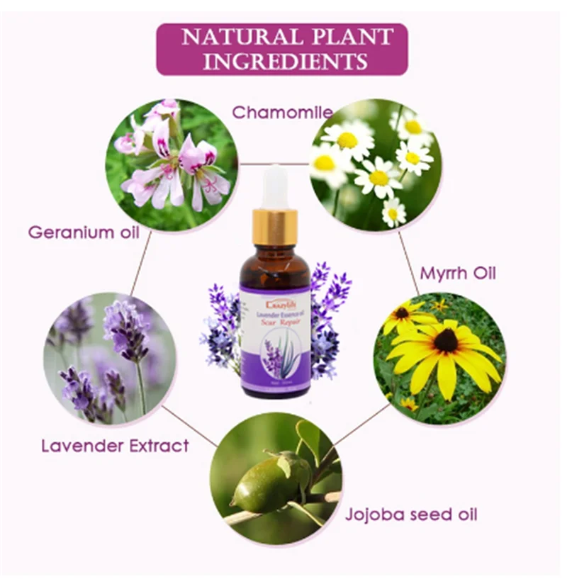 Lavender Repair Essence Scar Removal Scar Essential Massage Oil For