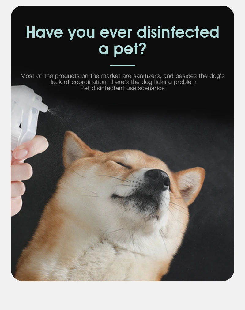 --_05.jpg