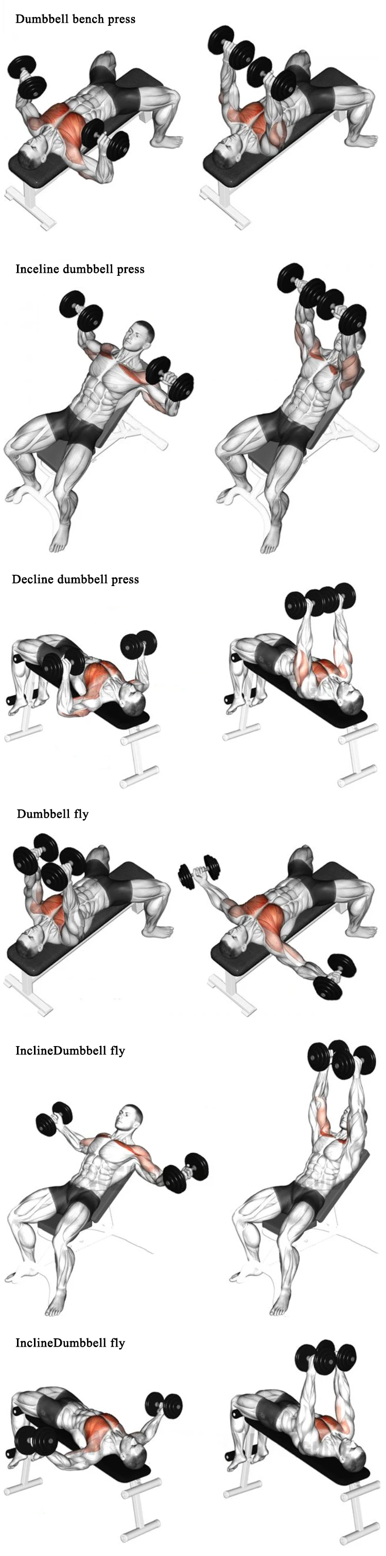 Wholesale competitive price adjustable dumbbell set for bodybuilding sports equipment