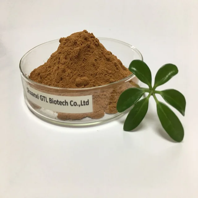 Lions Mane Extract Powder.png