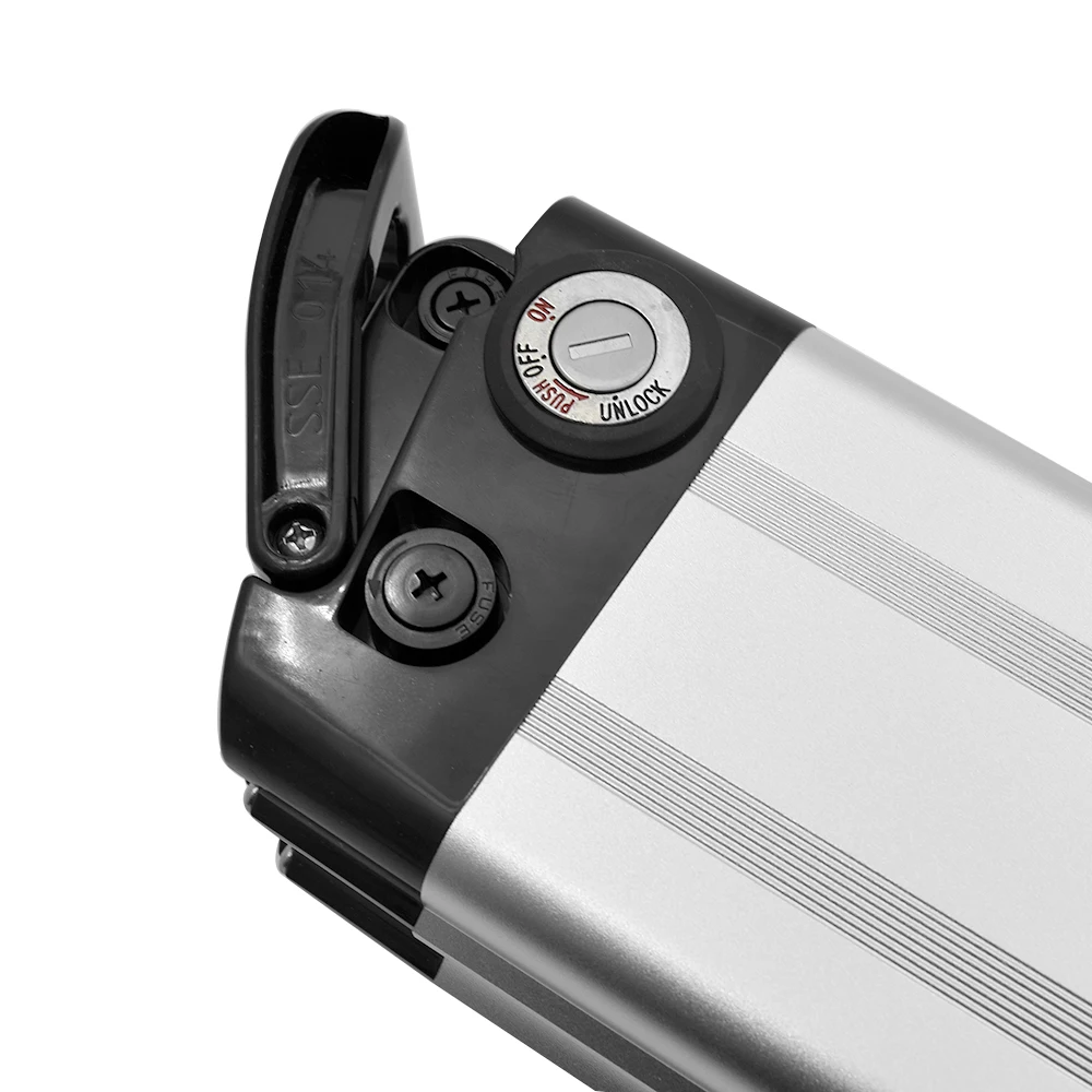 Rechargeable Lithium Li Ion Packs Ebike Batteries Lifepo4 Silver Fish
