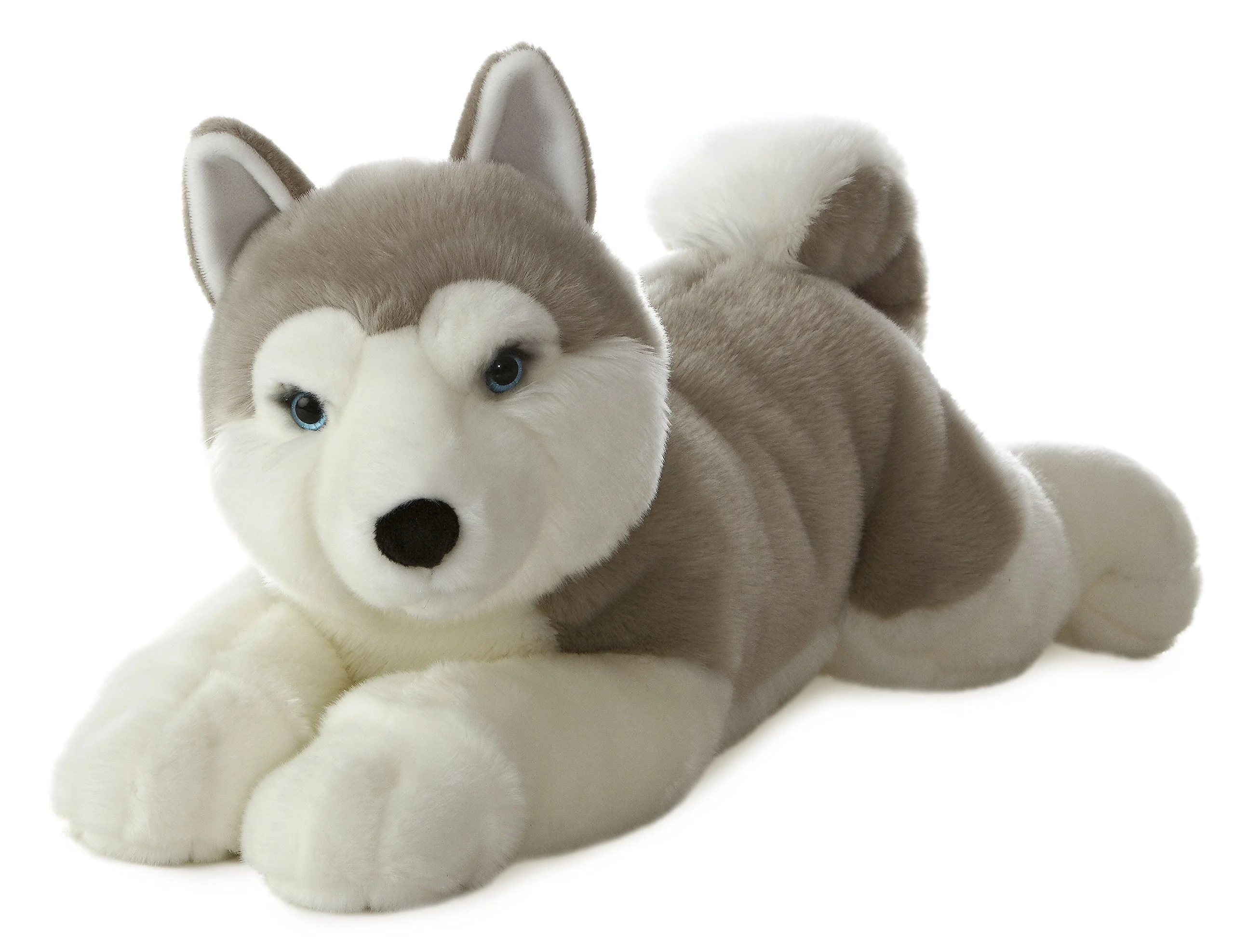 N dog plush