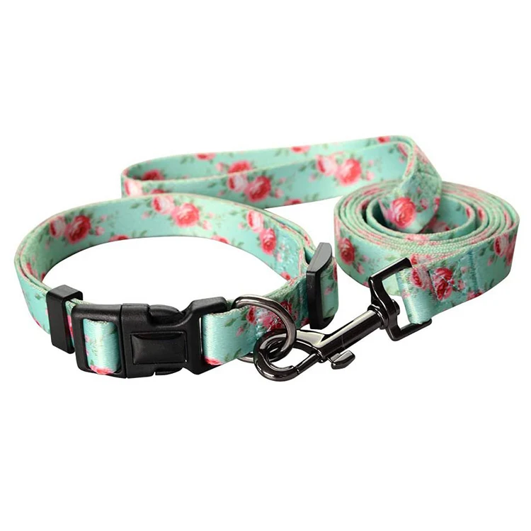 Dog Collar And Leash Set