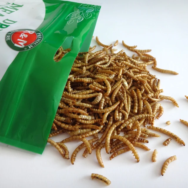 Dried Mealworms High Protein Customised Birds Food For Fishes Reptiles