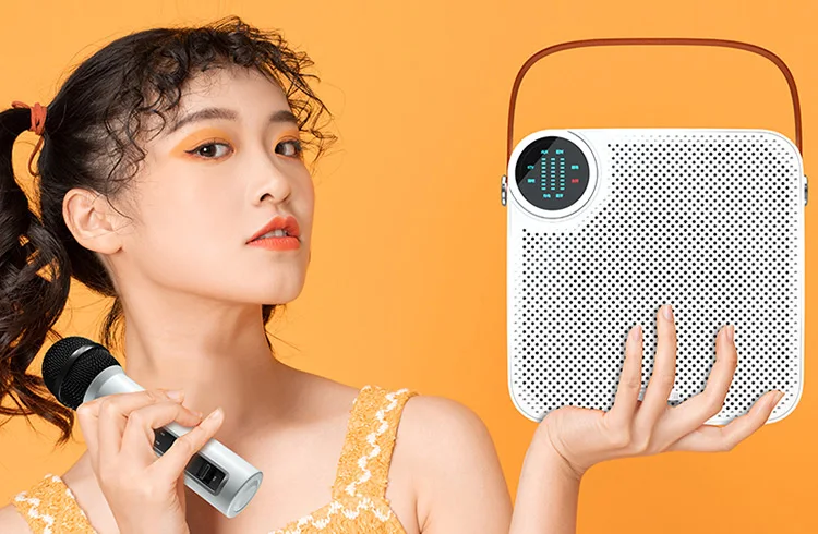Portable Wireless Speaker With Microphone Outdoor Party Dancing Karaoke Bass Midrange Audio Hifi Bt Waterproof Bluetooth Speaker - ANKUX.COM