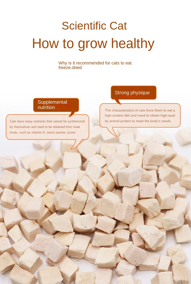 OEM Processing Custom Freeze Dried Pet Snacks with Chicken Duck Quail & Salmon Grains for Chickens Skin & Coat Health supplier