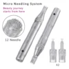 professional Cellulite Reduction Feature needling pen microneedle dermapen Wireless Electric derma pen