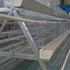 /product-detail/animal-cage-hot-dip-galvanized-metal-poultry-farm-stainless-steel-chicken-cages-62305588967.html