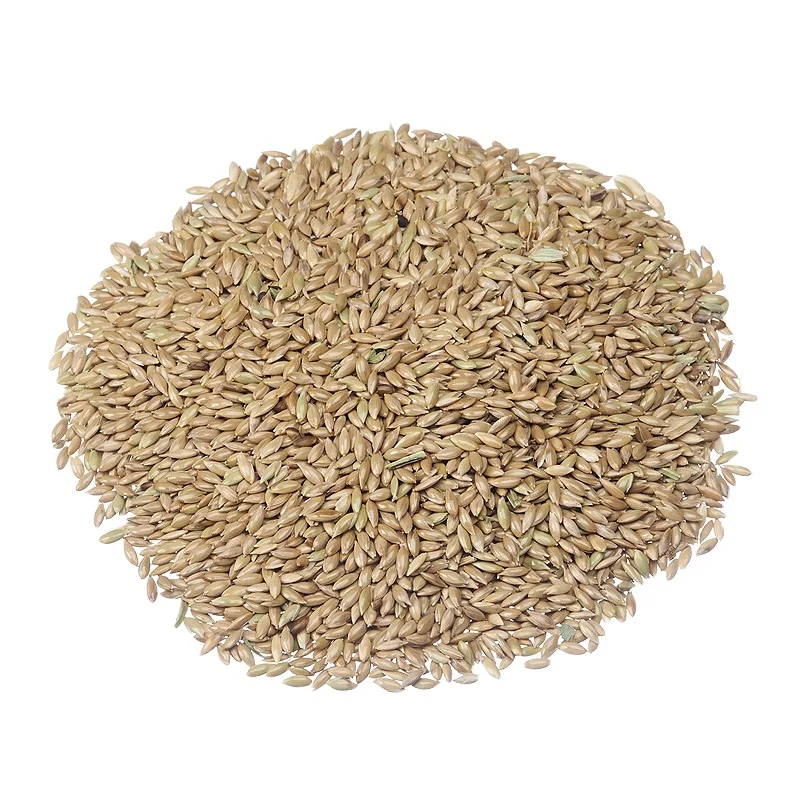 canary seed wholesale