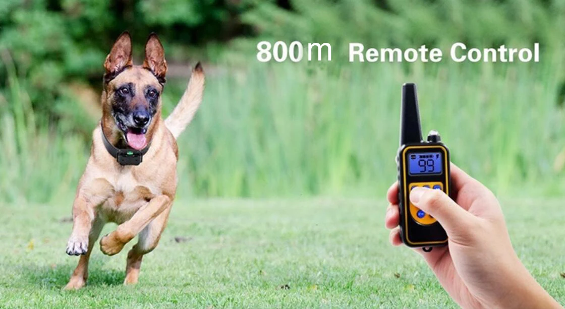 Dog_Training_Collar