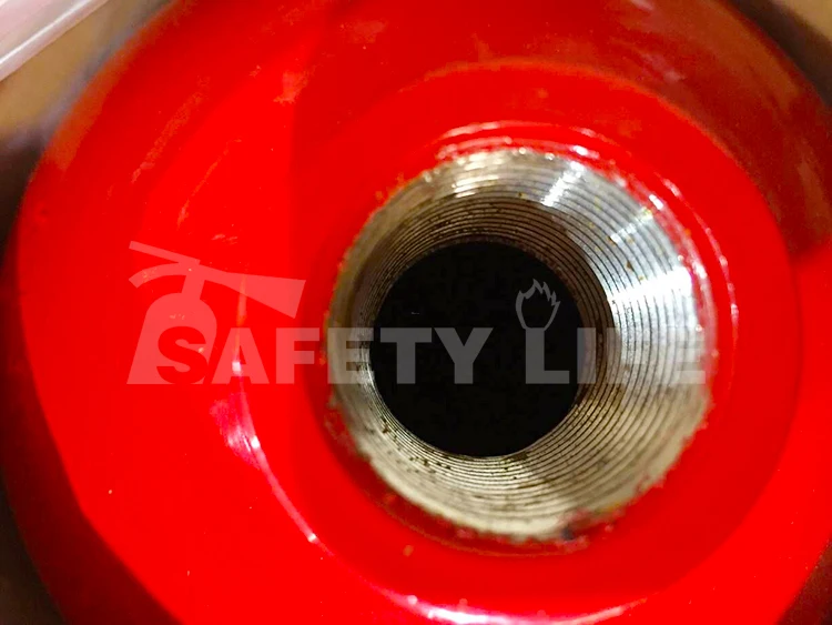 co2 extinguisher (25)
