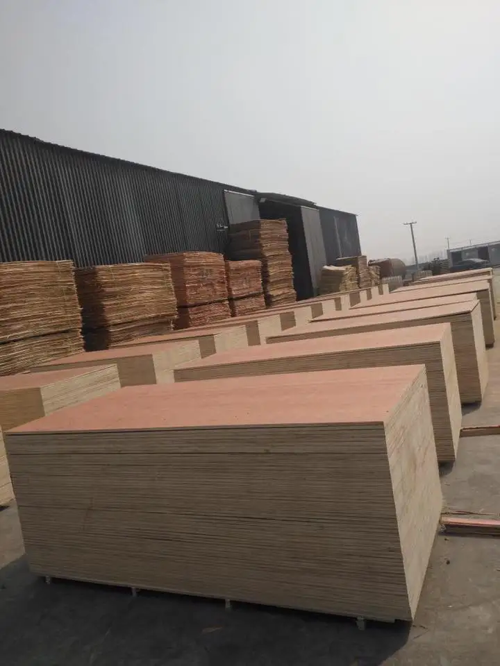 4x8 Commercial 12mm Plywood Prices In Oman Buy 12mm Plywood For Sri
