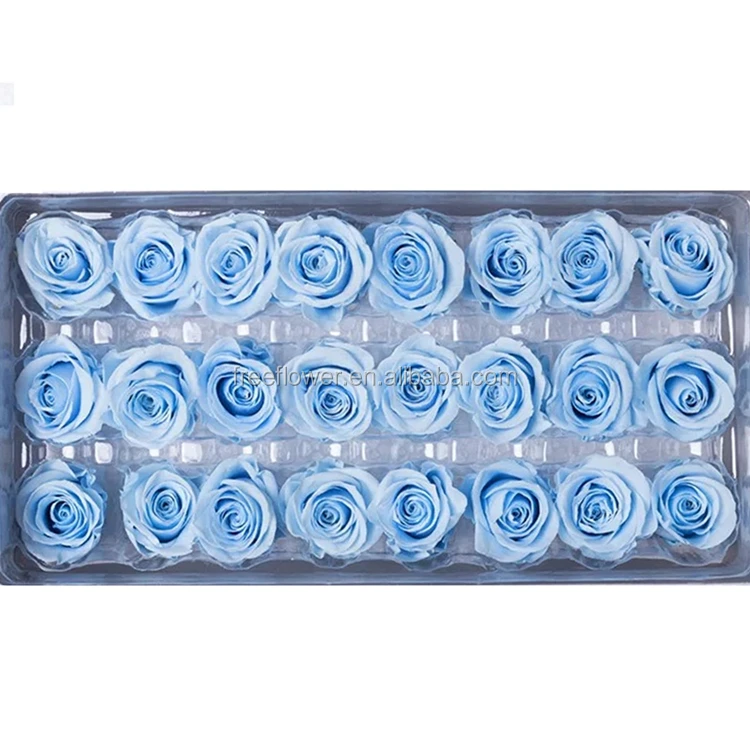 Wholesale Preserved Roses 2-3cm Stabilized Eternity Flower ...