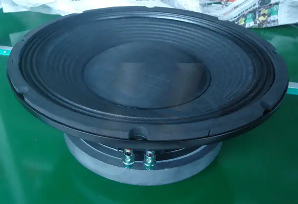 SC12S 12 Inch Loud speaker.JPG