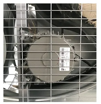 Butterfly Cone Extractor, 120 V, Electric - detail 10