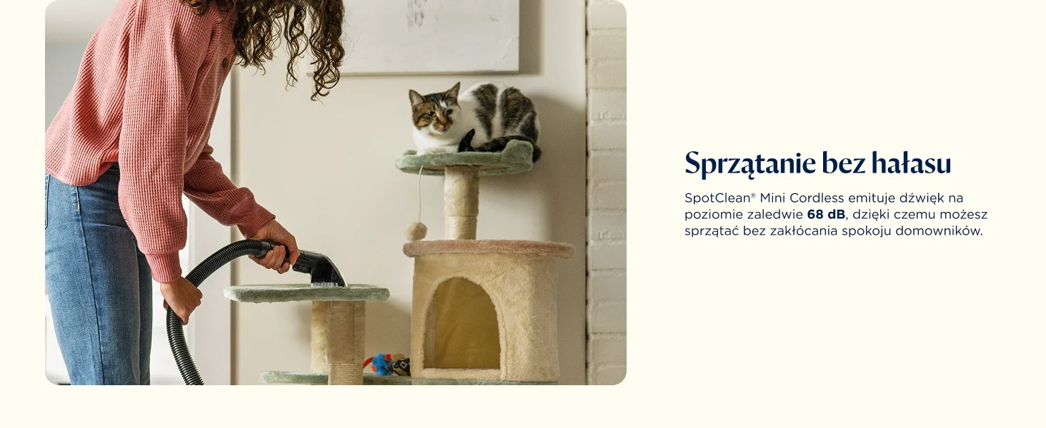 Ciche sprzątanie