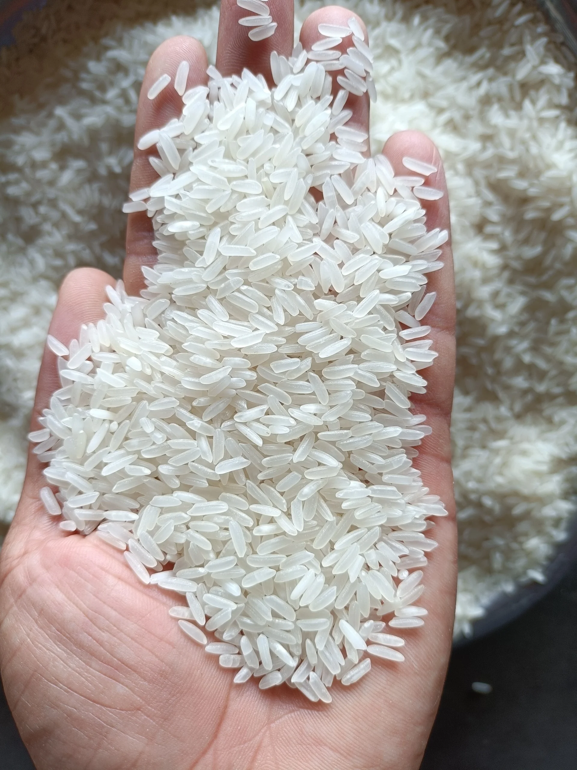 2025 Vietnam Jasmine Rice Long Grain Dried ISO Certified Ms. Lona's ...