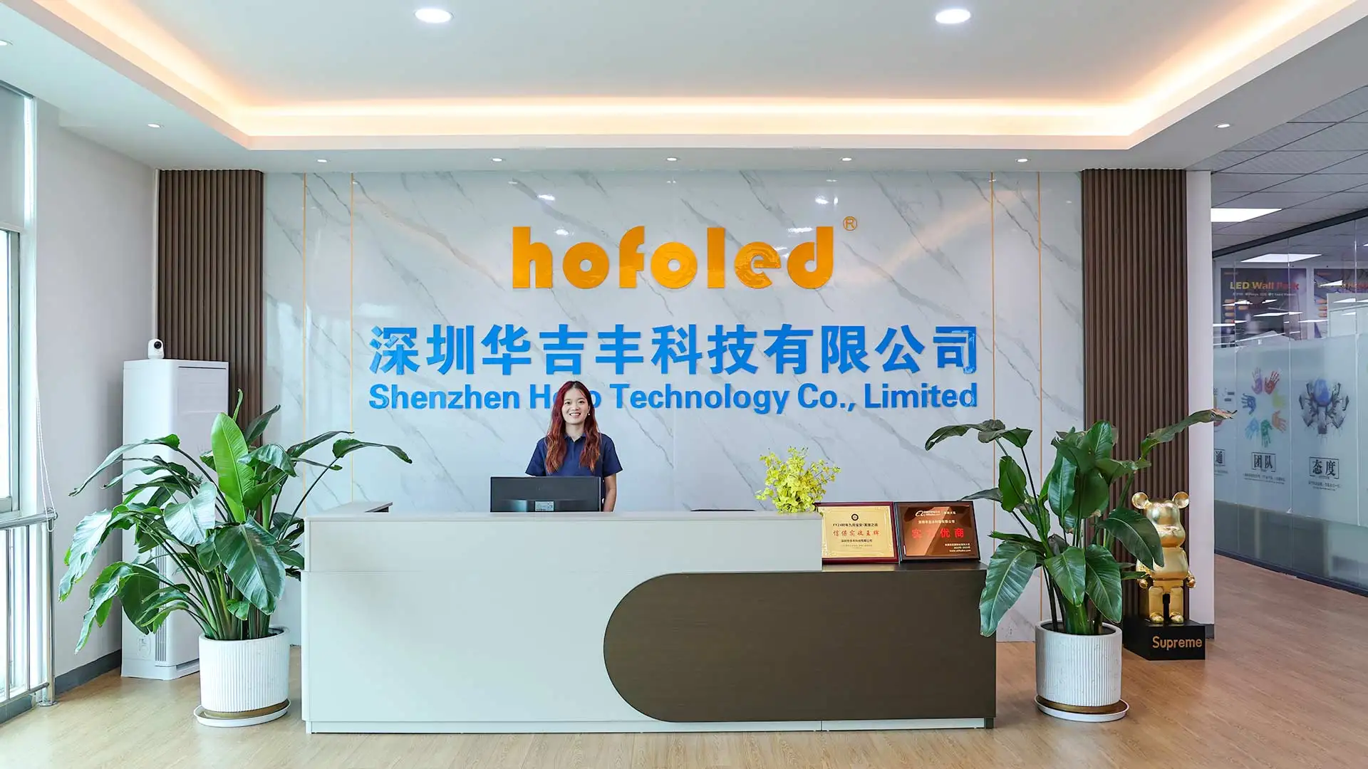 深圳华吉丰科技有限公司