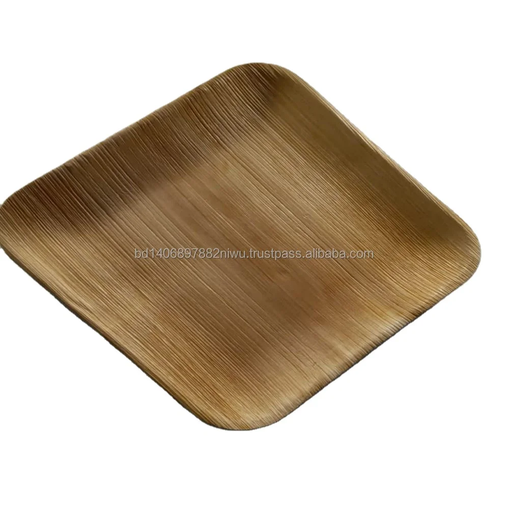 100% Organic Natural Areca Palm Leaf Disposable Plates And Spoons New ...