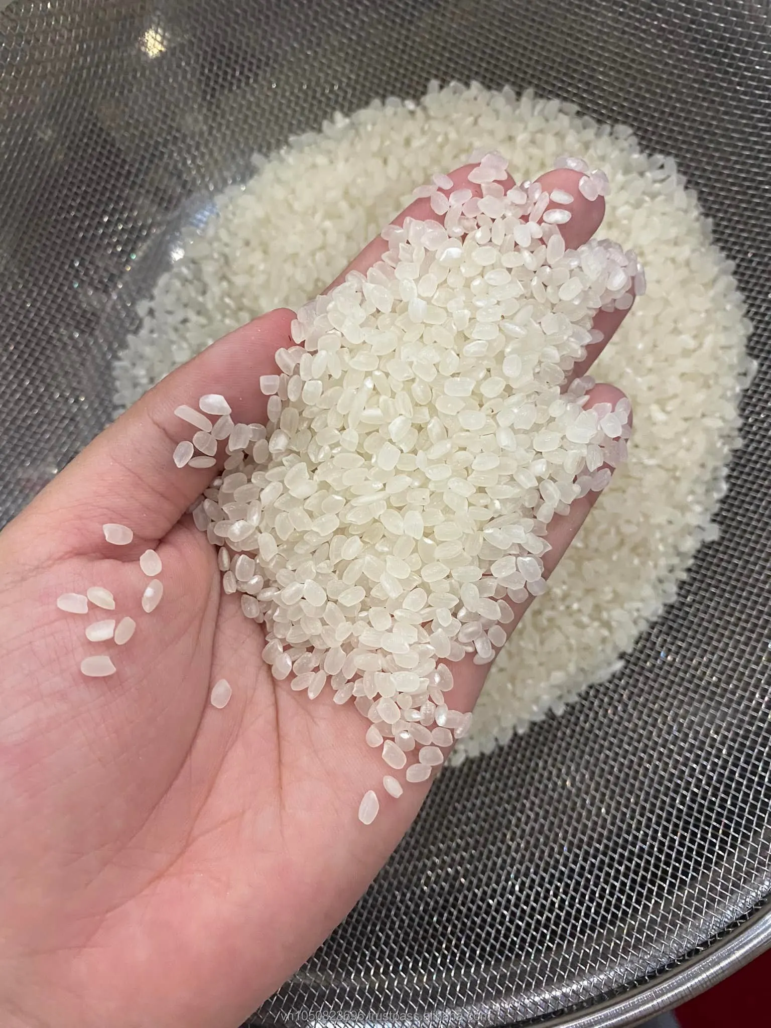 Japanese Rice Japonica Rice Short Grain From Vietnamese Rice Mill