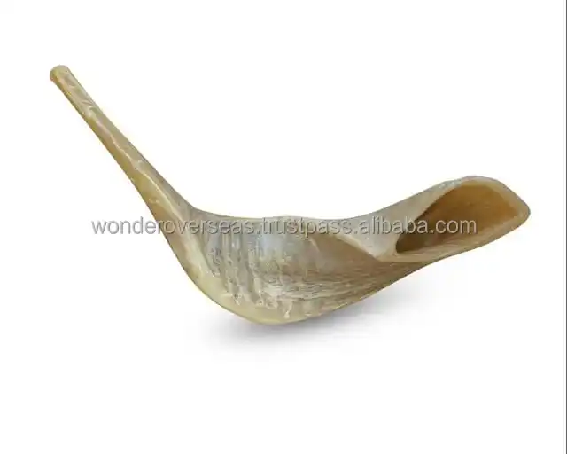 Hot Selling Natura Raml Horn Shofar Exciting Offer Rosh Hashanah ...