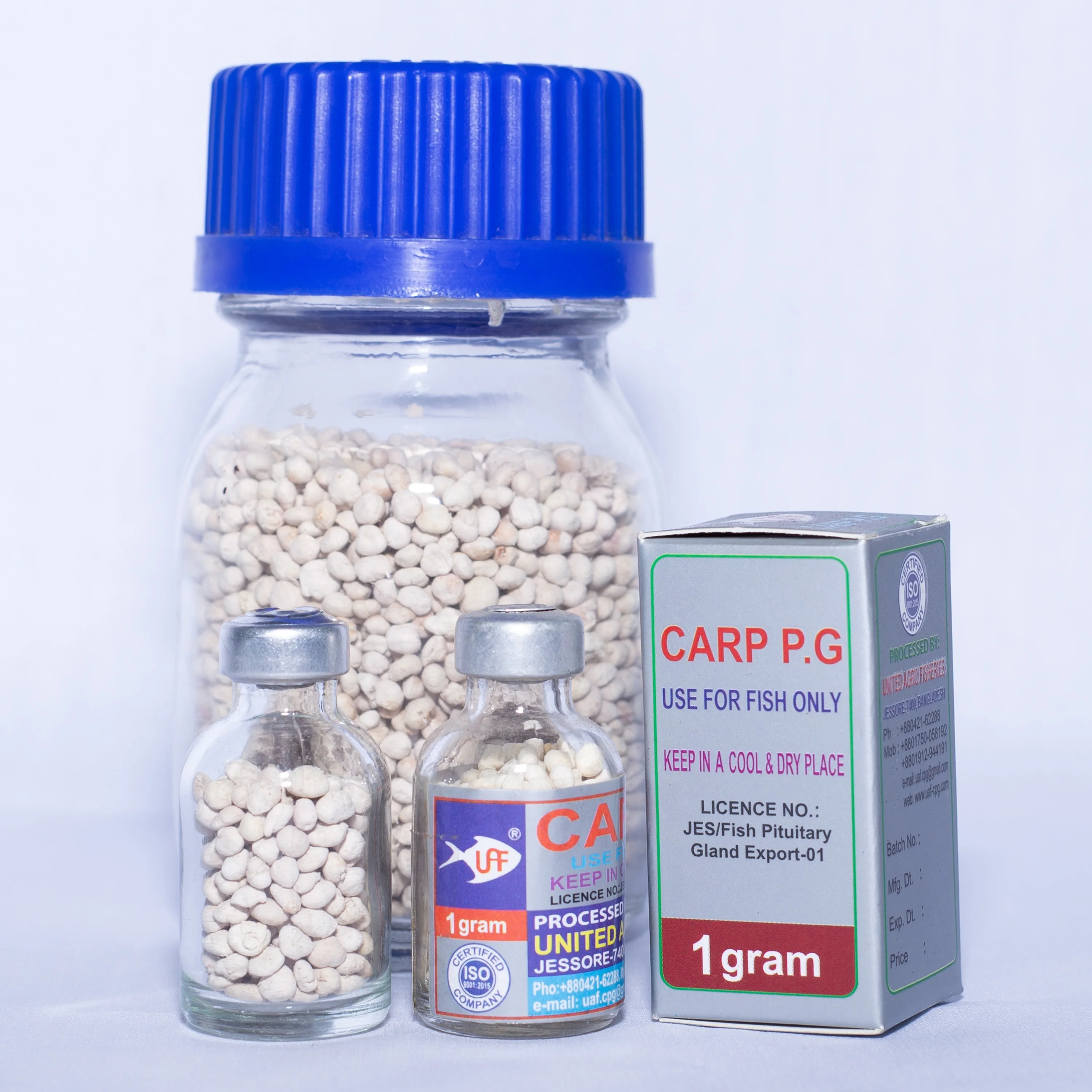 Iso Certificated Fish Carp Pituitary Glands High Quality Carp Pituitary
