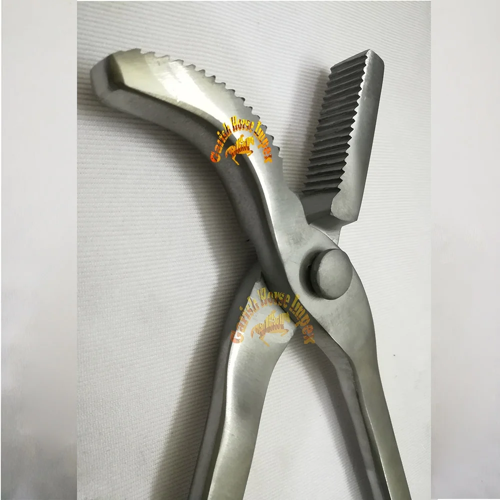 Hoof Care Farrier Tools Hoof Clincher Farrier Tools Horse Nail Tools