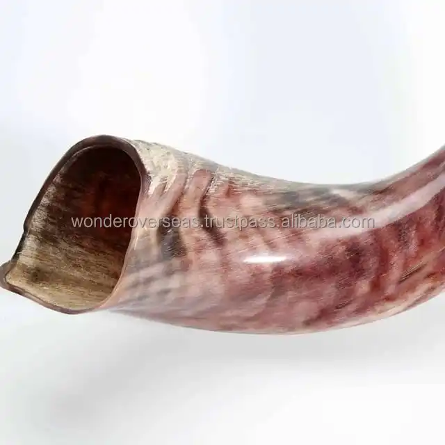 Natural Black Ram Horn Shofar Traditional Musical Instrument By Wonder Overseas Buy Ram Horn