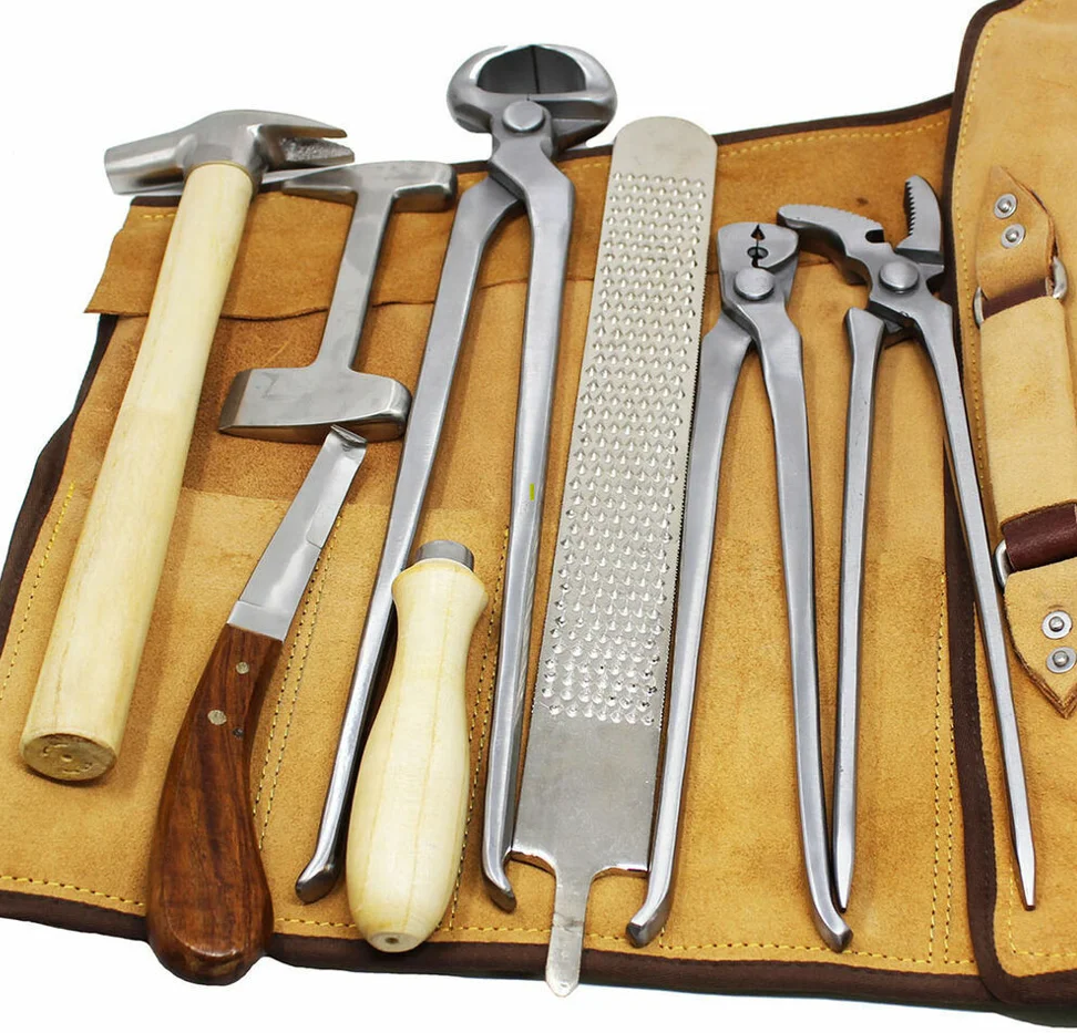 Professional Equine Horse Farrier Tool Kit Grooming Hoof Bot Shoe