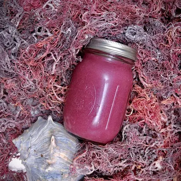 Premium Purple Sea Moss/making Sea Moss Gel/irishmoss/seamoss Ms